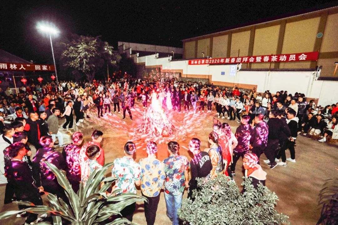 雨林年会，春风朝煦！