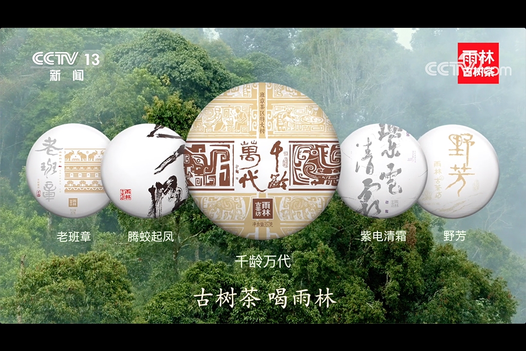 2020年新版CCTV雨林古树茶广告片正式上线  CCTV1综合  CCTV13新闻  率先亮相