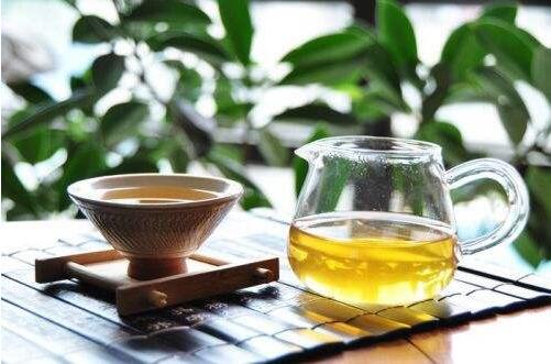 哪些人更应该多喝古树普洱茶？