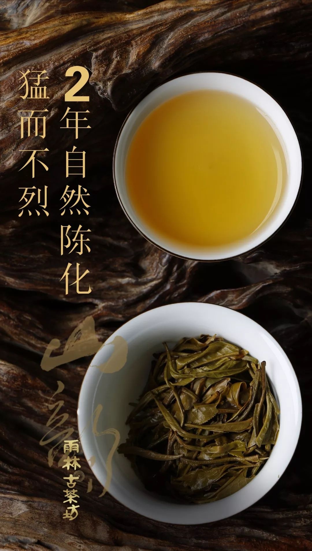 【茶百科】古树茶让人着迷的山野韵，从何而来？-津乔|匠制纯粹好茶