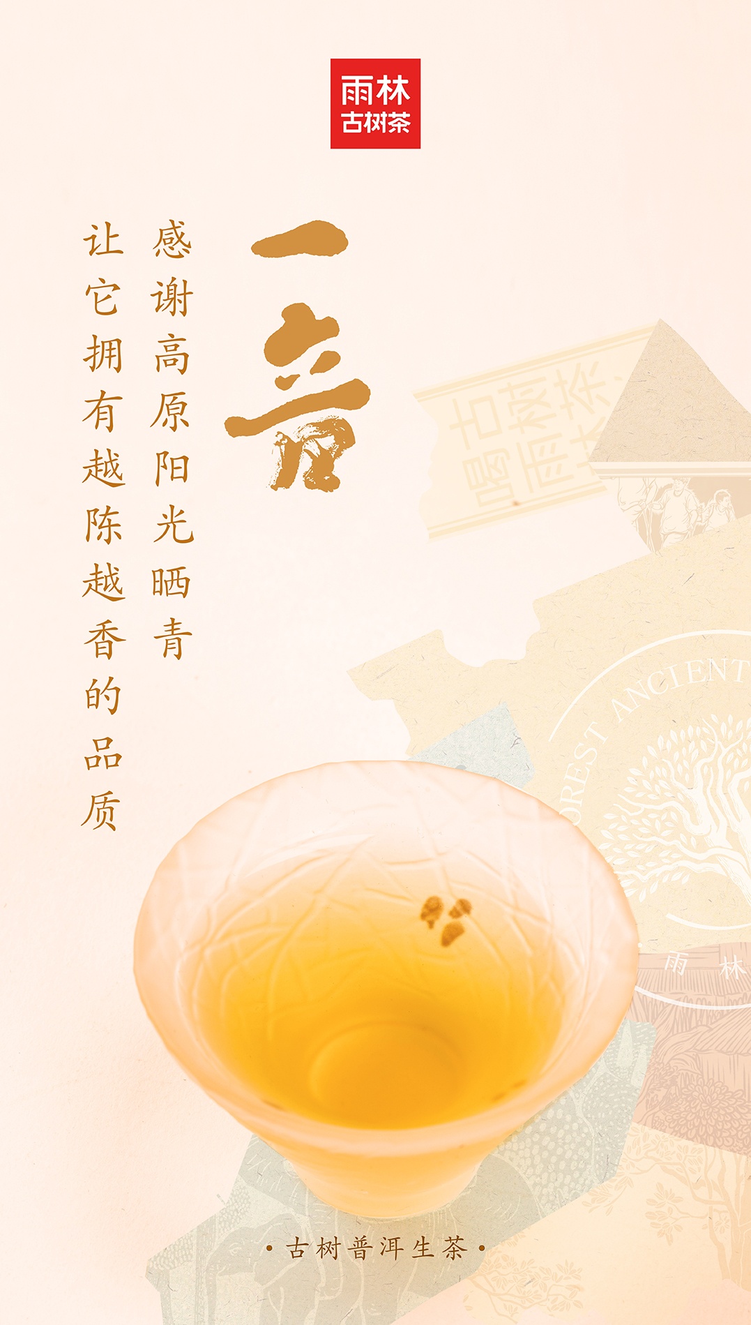 一音生茶5.jpg