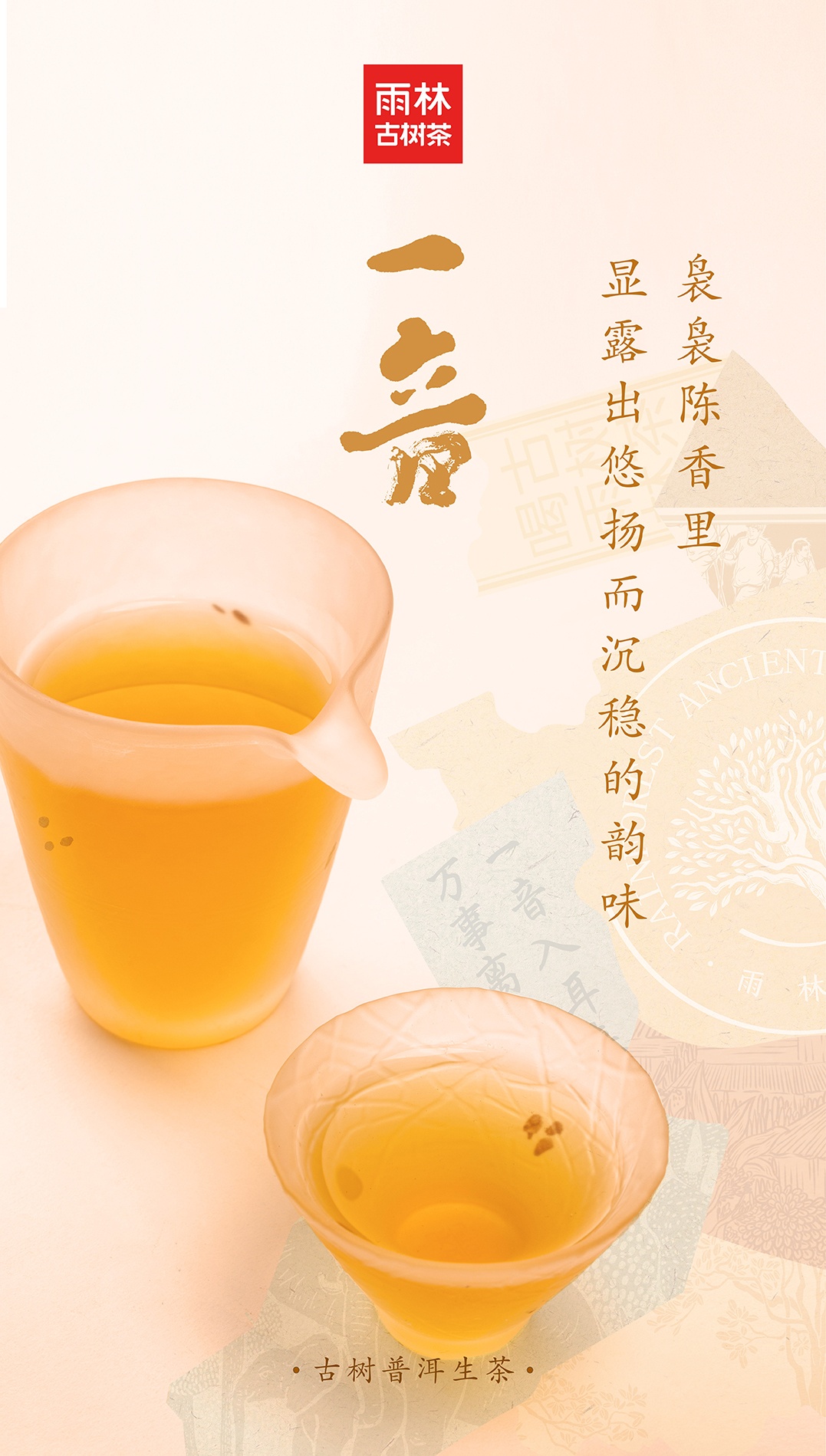 一音生茶6.jpg