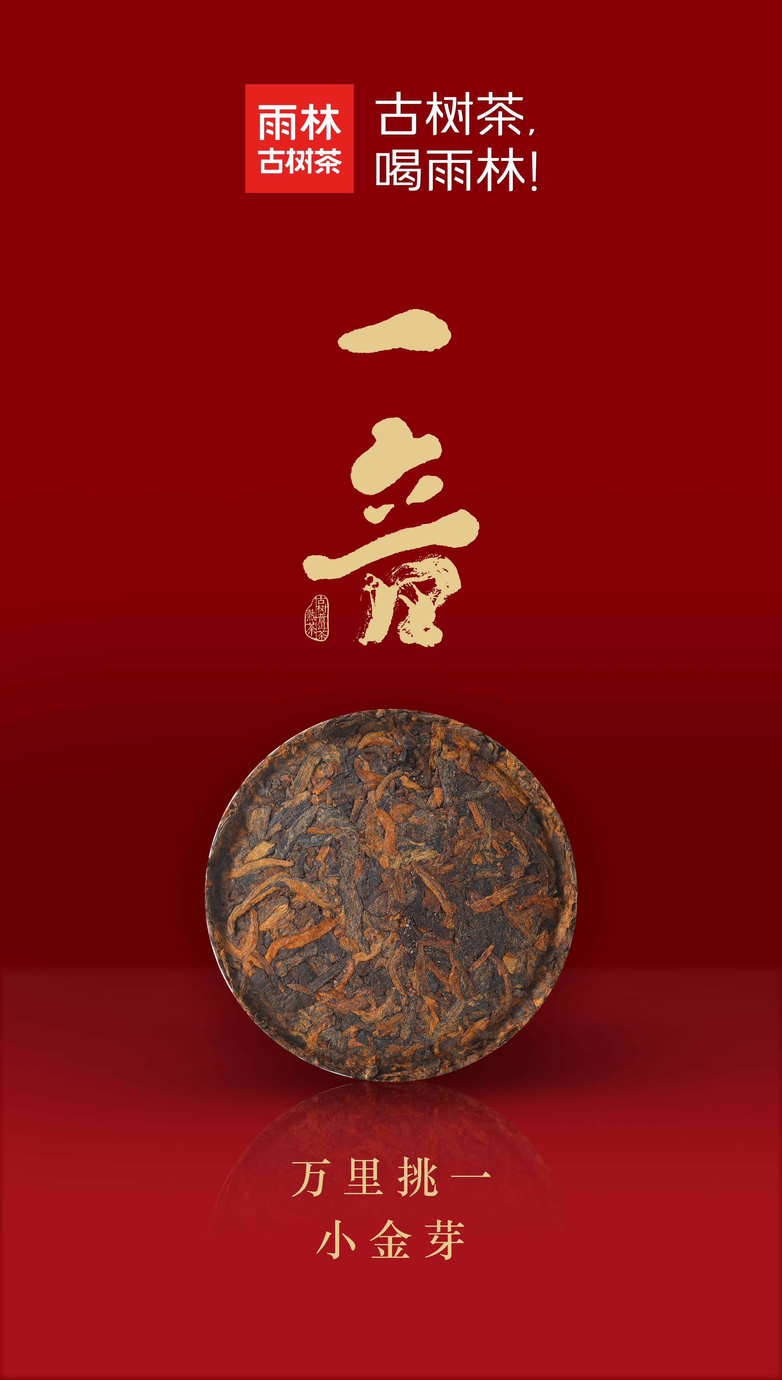 一音熟茶4.jpg