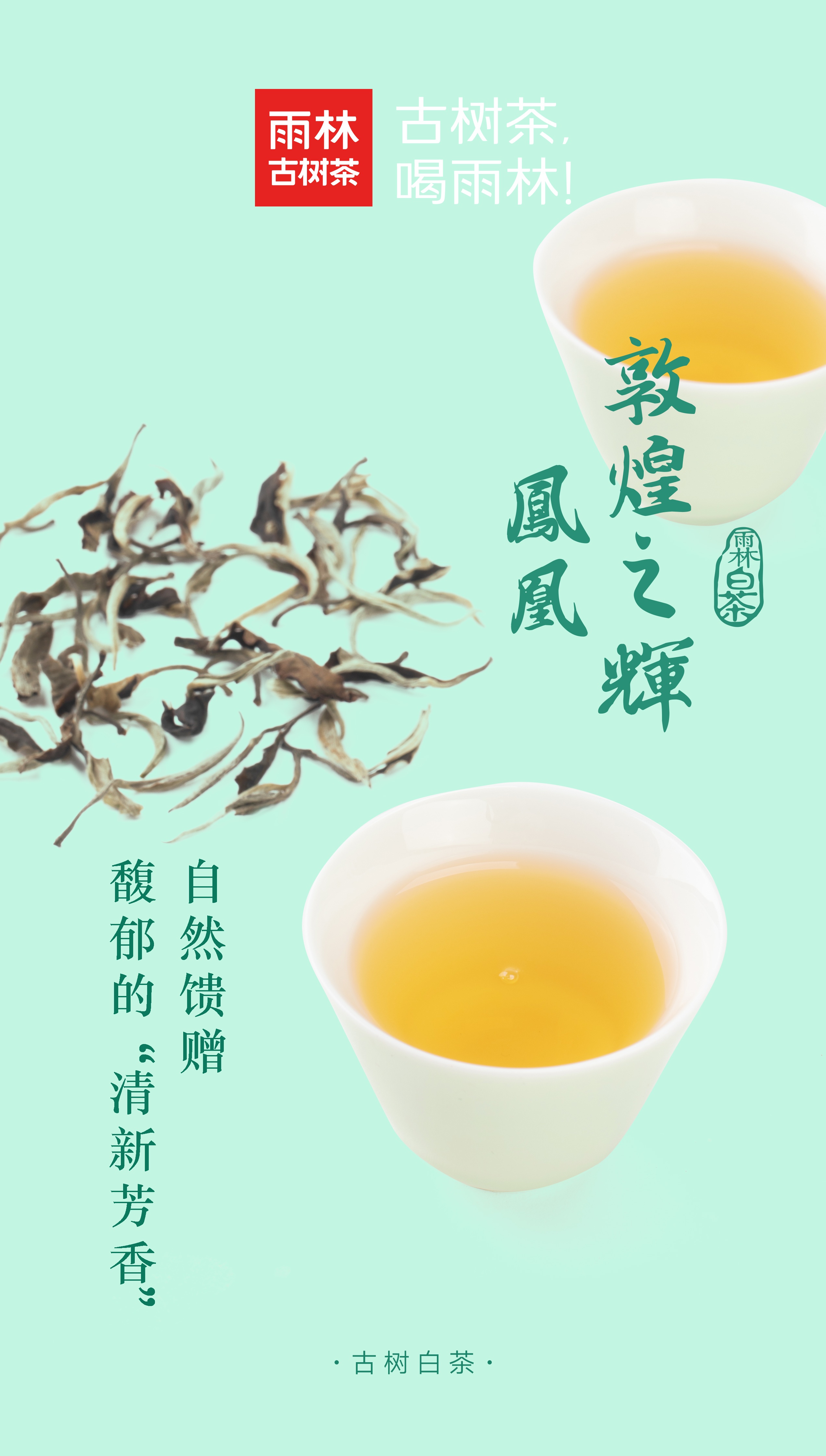 雨林古茶坊“快哉”砖茶包装设计。《新道设计》古树普洱砖茶包装设计分享。|平面|包装|新道设计 - 原创作品 - 站酷 (ZCOOL)