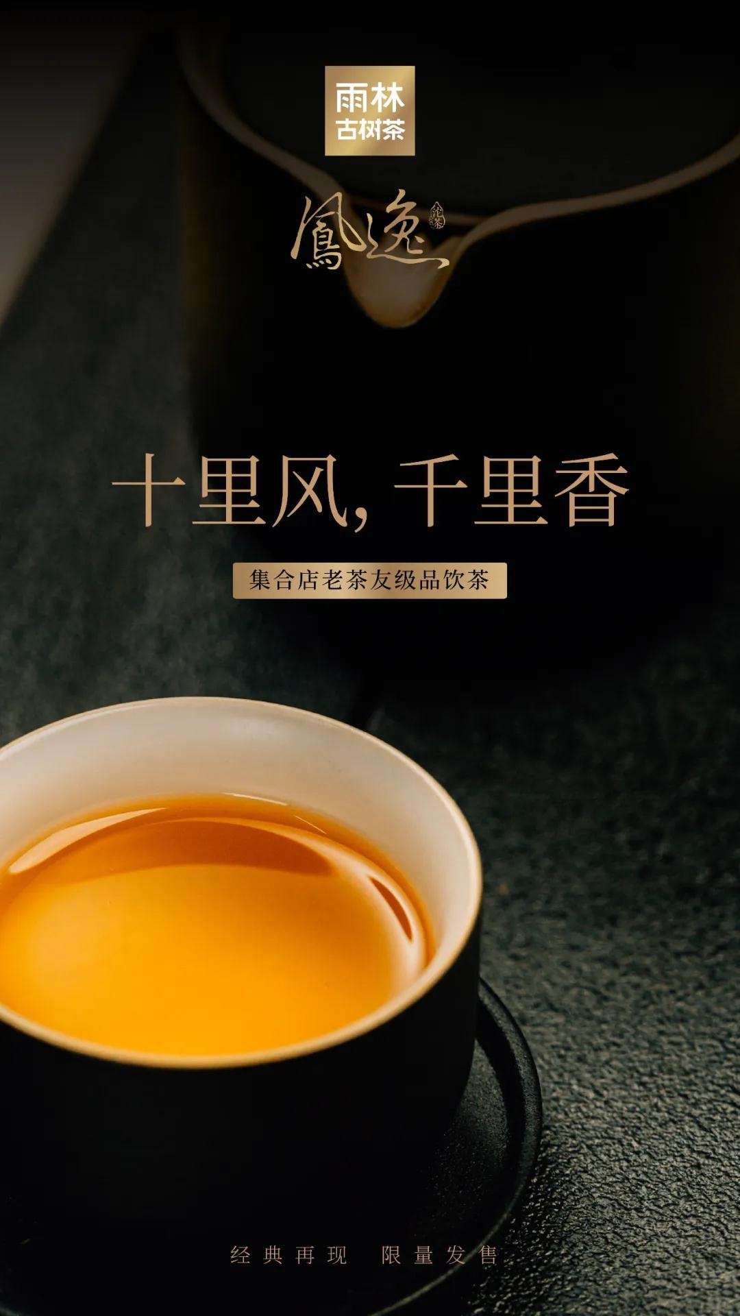 凤逸沱茶5.jpg