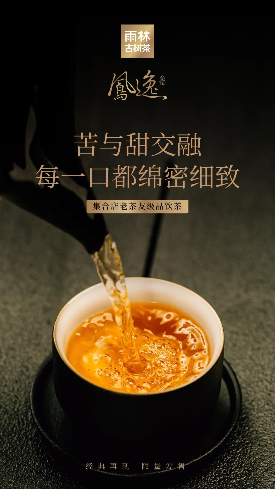 凤逸沱茶6.jpg