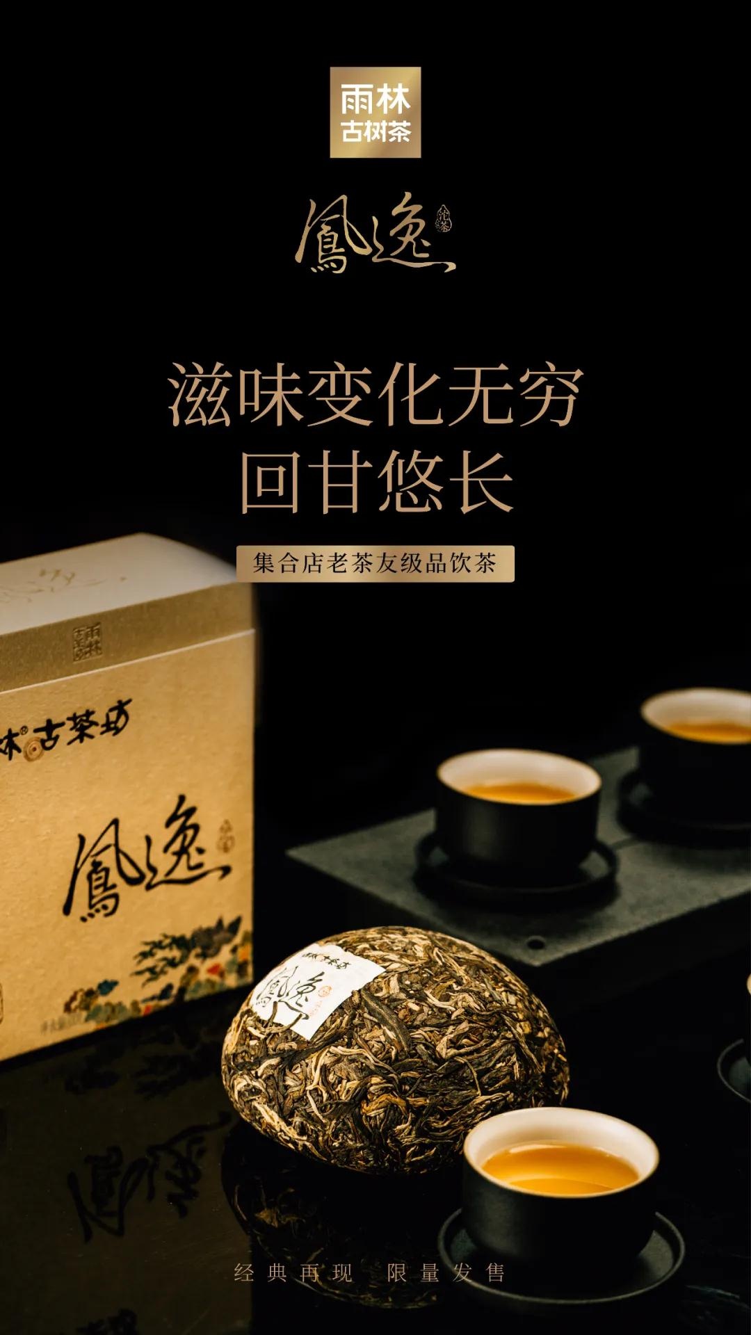 凤逸沱茶7.jpg