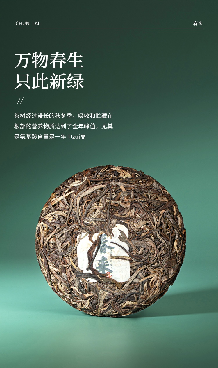 春来详情_04.jpg