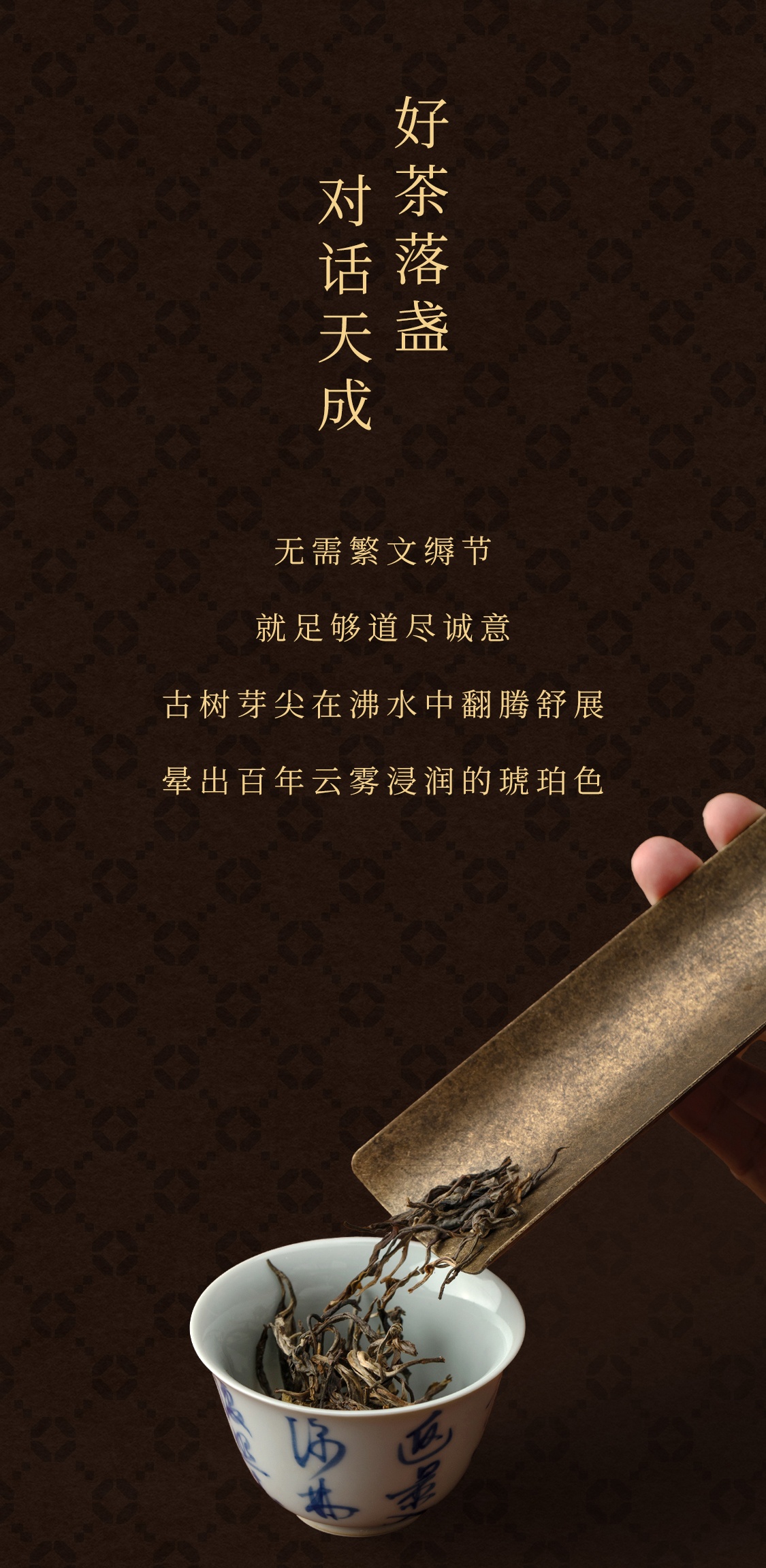 老班章画板-1-拷贝-4_05.jpg