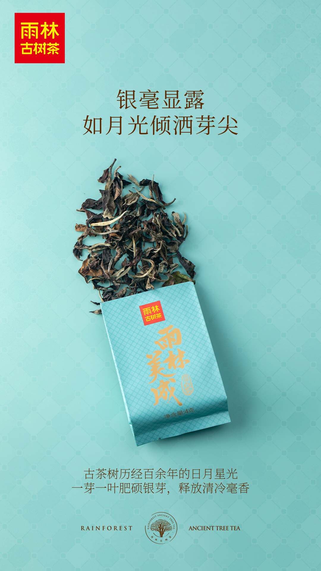 3 新.jpg