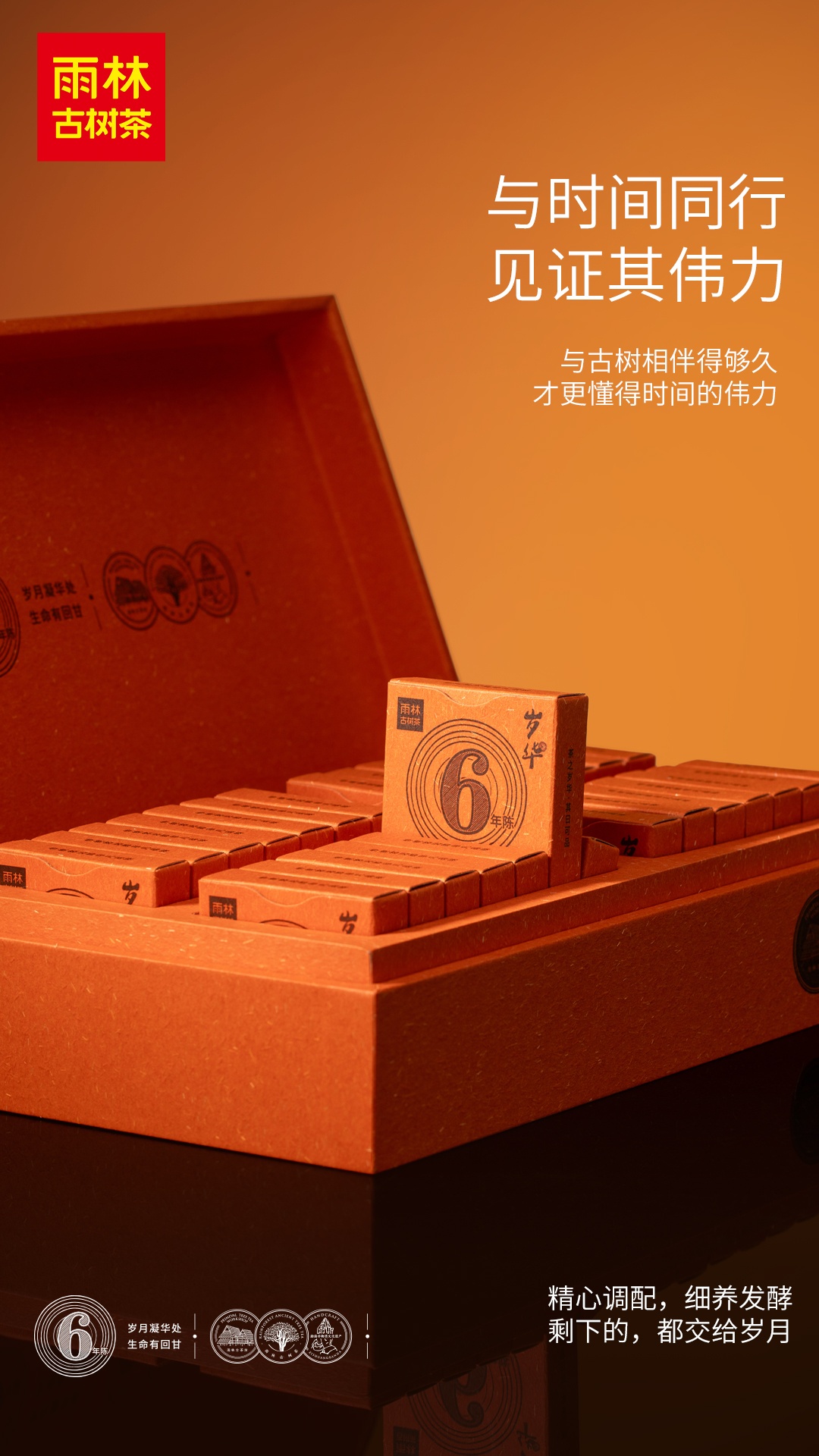 1763436543462821.jpg 2.jpg