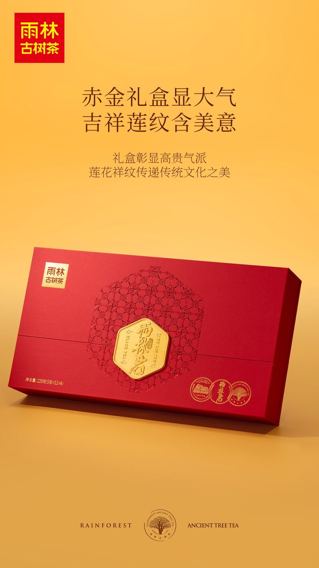 1767428596515219.jpg 2.jpg