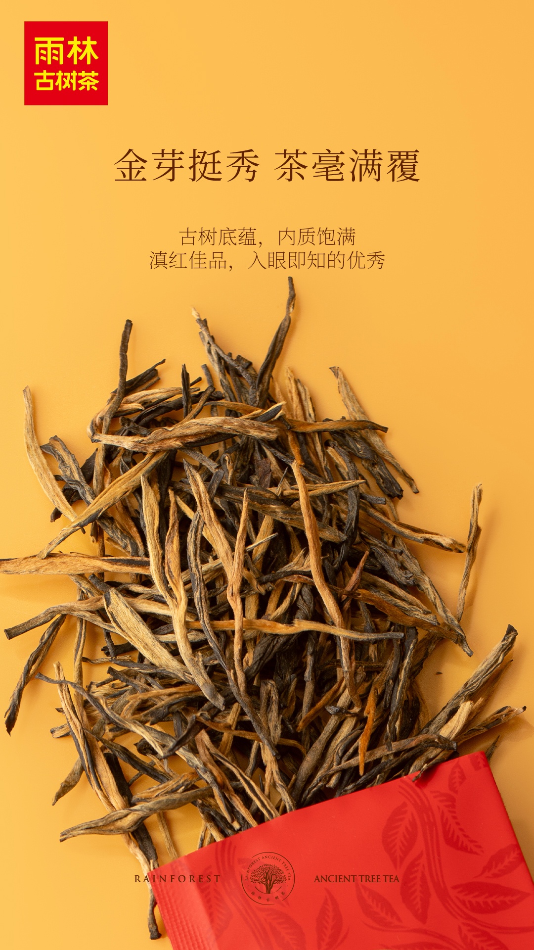 1767428626584656.jpg 4.jpg