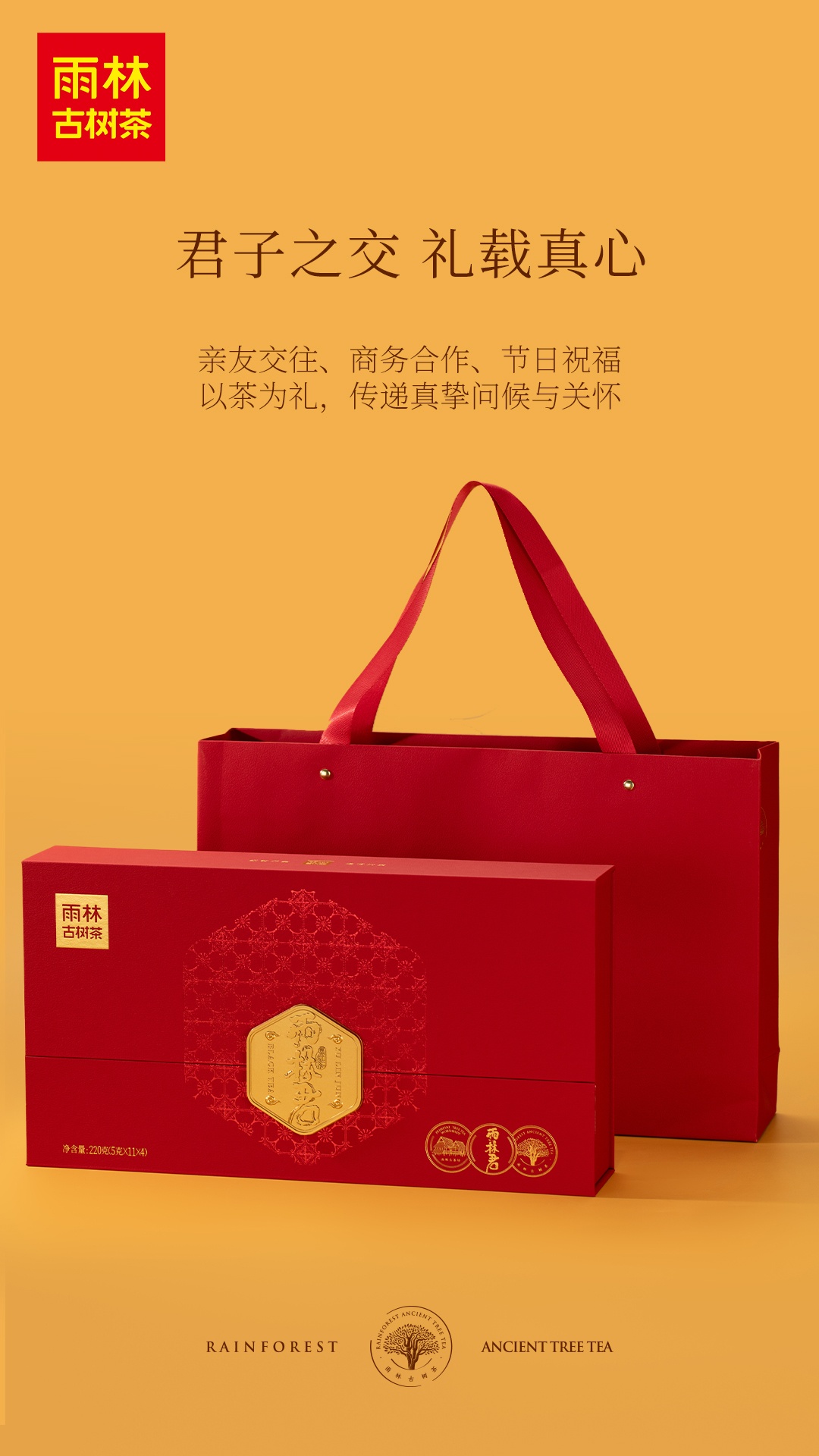 1767428719940342.jpg 7.jpg